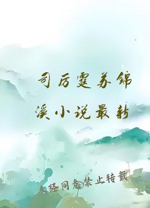 司厉霆苏锦溪小说最新