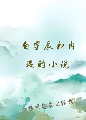 白宇辰和冉璎的小说